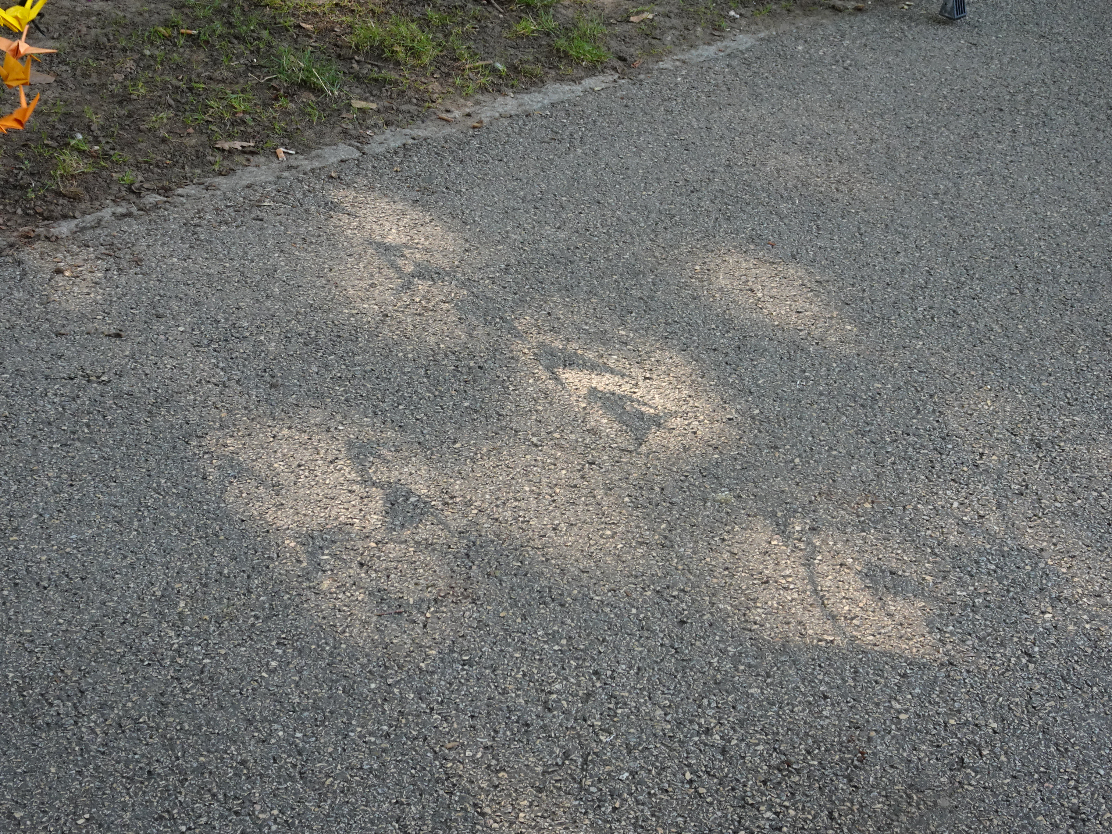 dsc09415.jpg